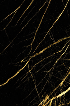 UV Marble Panel-Black Gold Veined